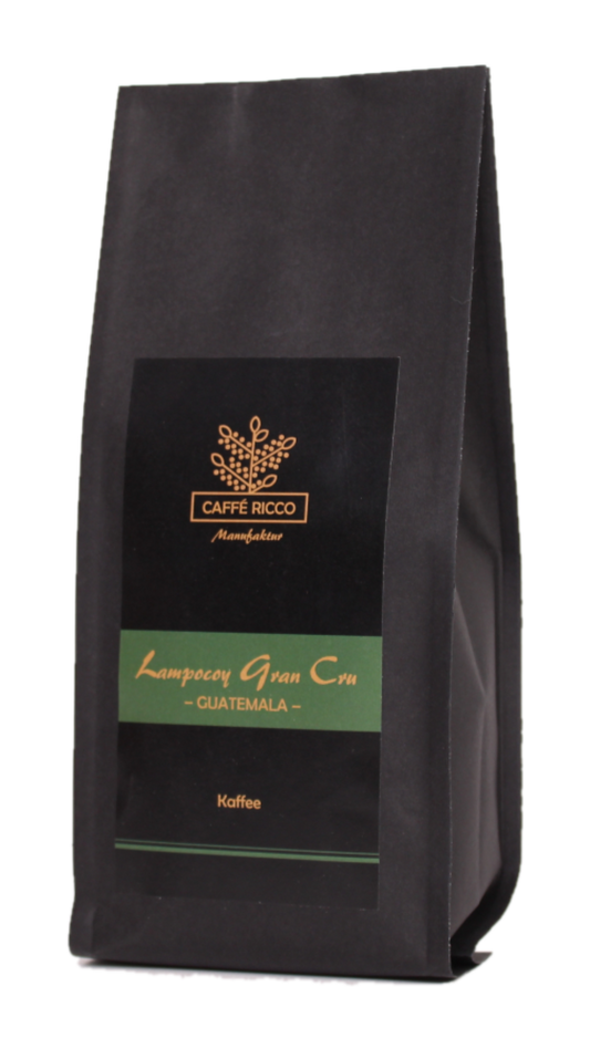 Lampocoy Gran Cru